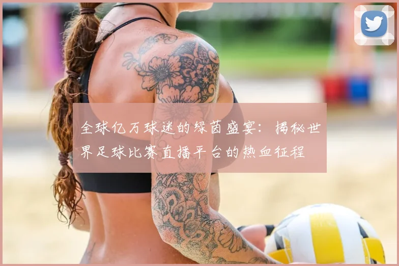全球亿万球迷的绿茵盛宴：揭秘世界足球比赛直播平台的热血征程