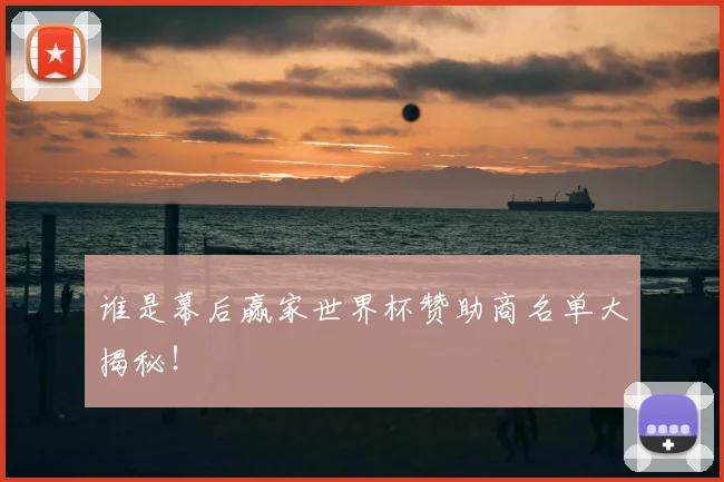 谁是幕后赢家世界杯赞助商名单大揭秘!